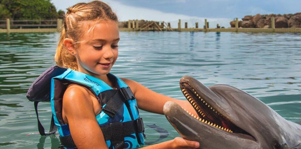 Dolphin Swim Adventure – Lucea