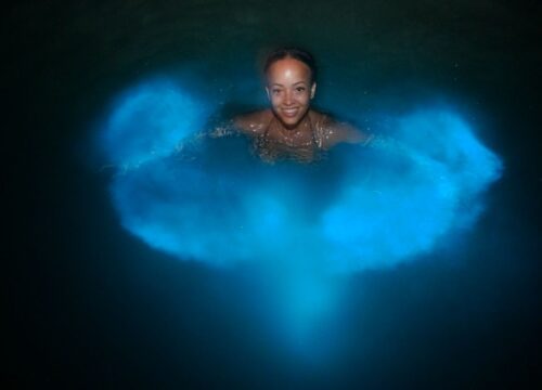 Luminous Lagoon (Night Experience) In Falmouth